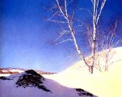 马科斯菲尔德 帕里斯 : whitebirches